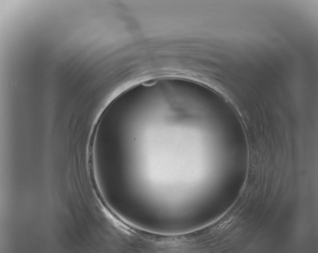 X0000059841535200510281811