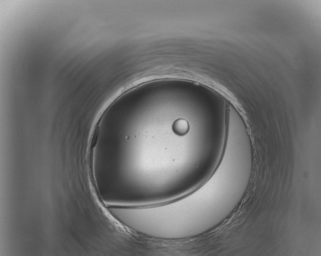 X0000059841536200510281811