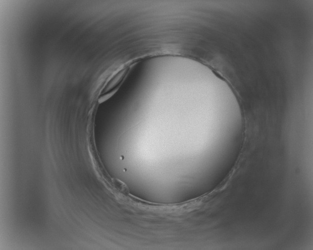 X0000059840001200511041825