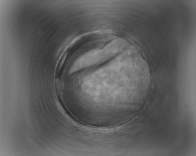 X0000059840002200511041825