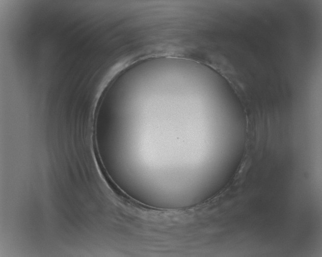 X0000059840003200511041825