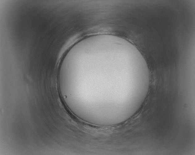 X0000059840004200511041825