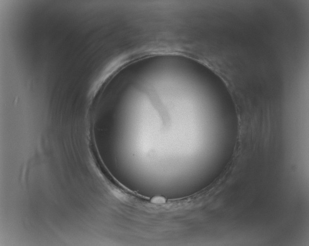 X0000059840005200511041825