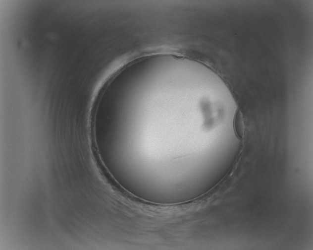 X0000059840006200511041825