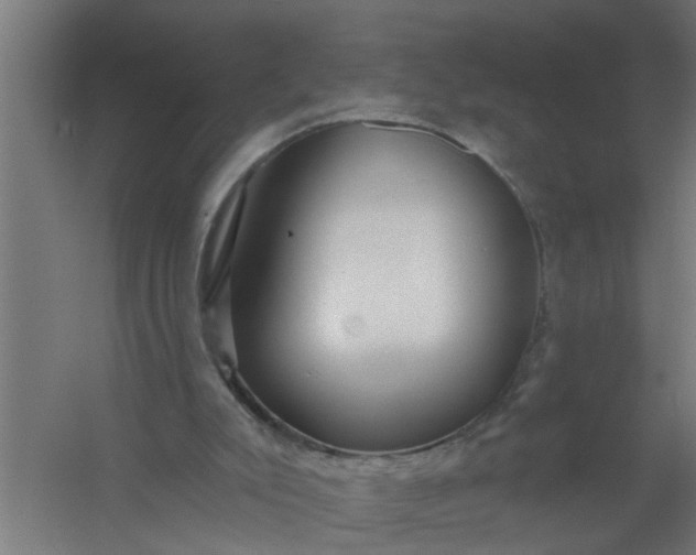 X0000059840007200511041825