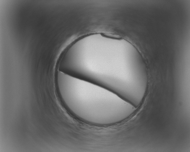 X0000059840008200511041825