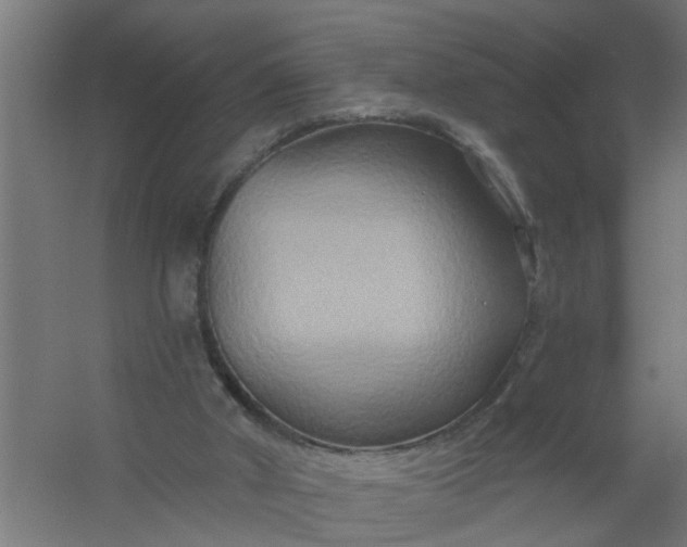 X0000059840010200511041825