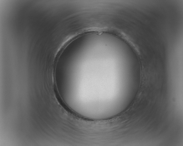 X0000059840011200511041825