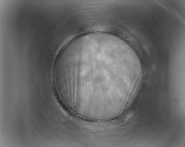 X0000059840012200511041825