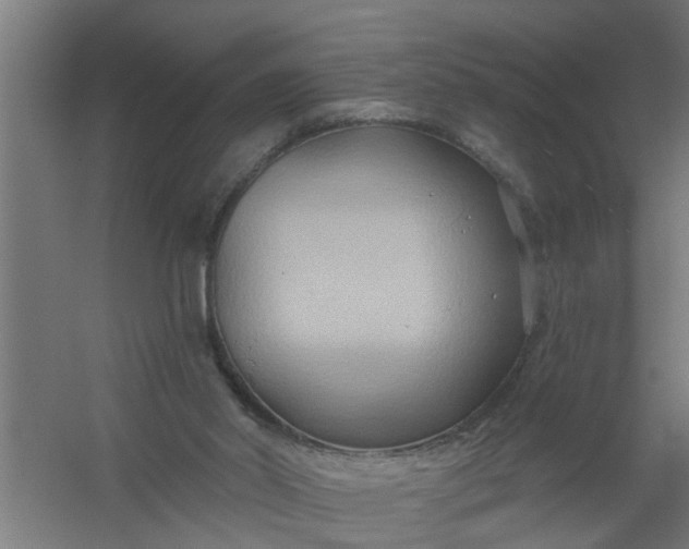 X0000059840014200511041825