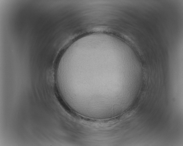 X0000059840016200511041825