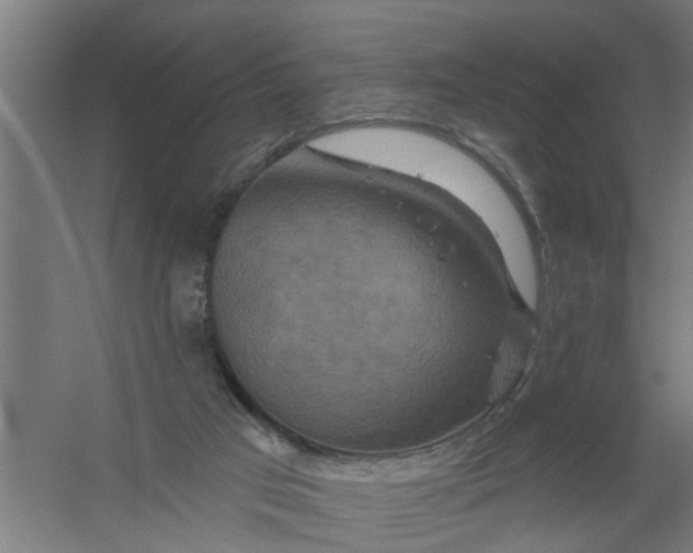 X0000059840017200511041825