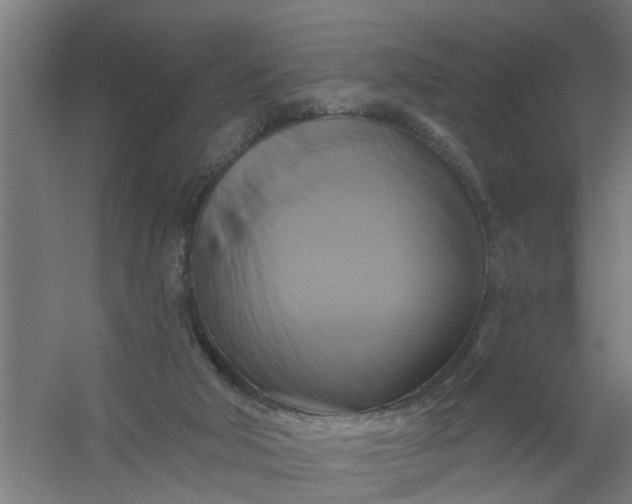 X0000059840018200511041825