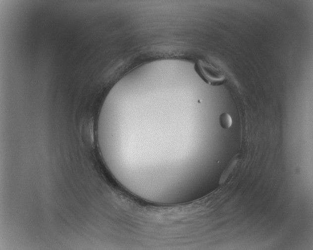 X0000059840021200511041825