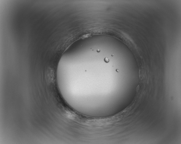 X0000059840025200511041825