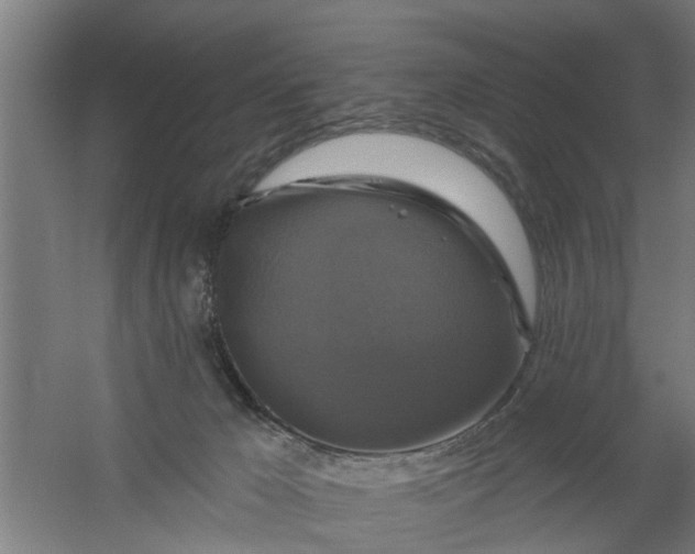 X0000059840029200511041825