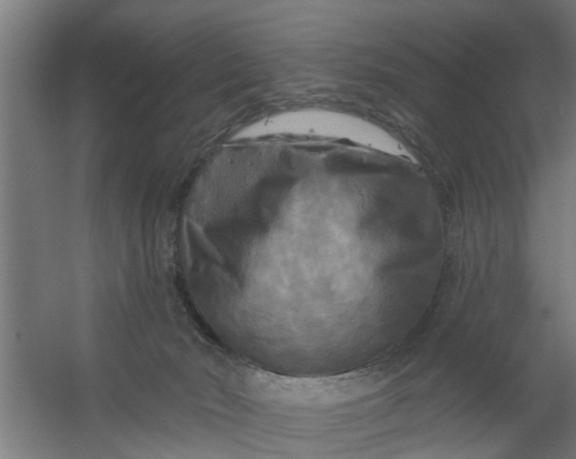 X0000059840030200511041825