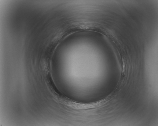 X0000059840031200511041825