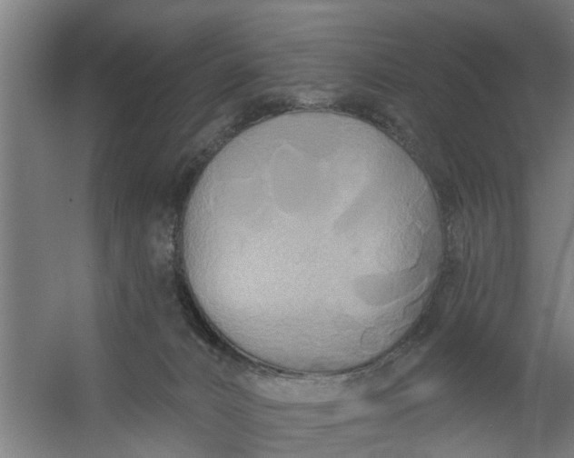 X0000059840032200511041825