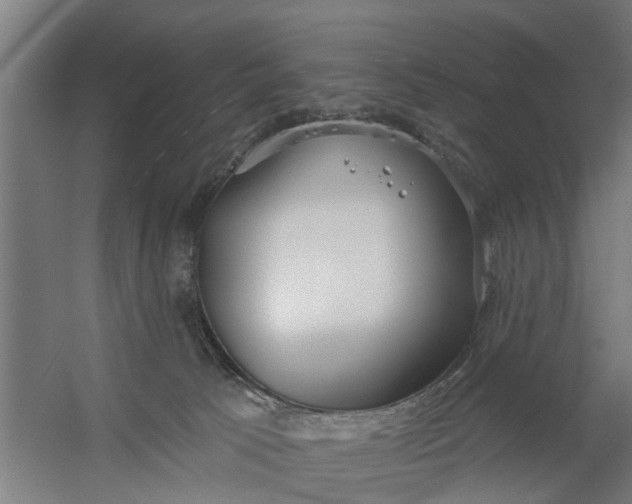 X0000059840033200511041825