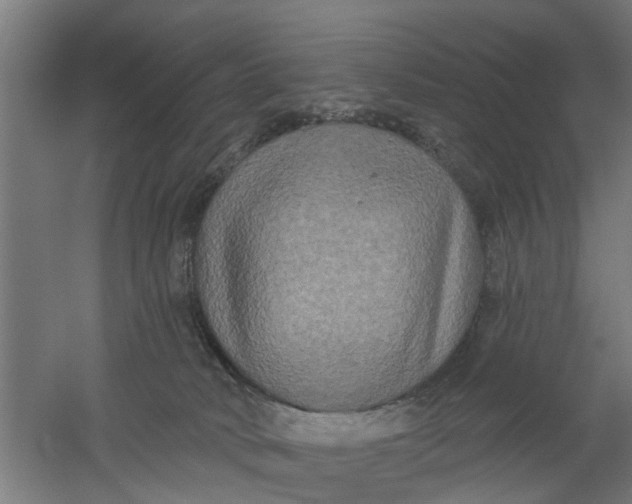 X0000059840034200511041825