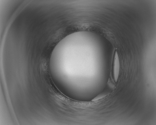 X0000059840037200511041825