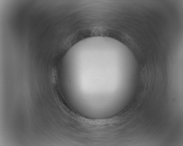 X0000059840038200511041825