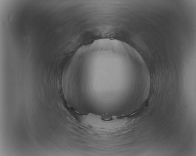 X0000059840039200511041825