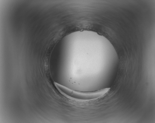 X0000059840040200511041825