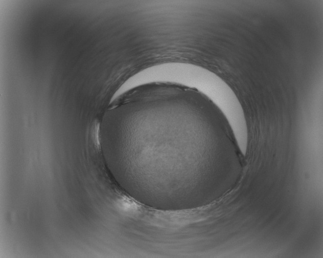 X0000059840041200511041825