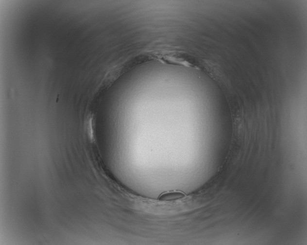 X0000059840042200511041825