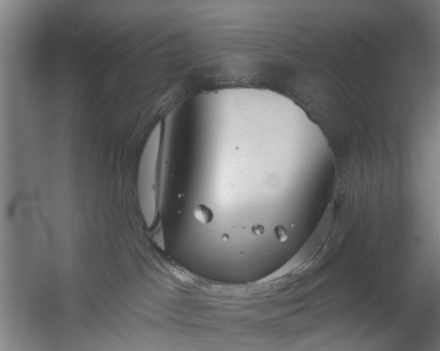 X0000059840045200511041825