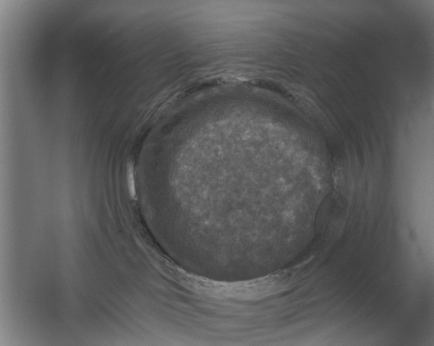 X0000059840046200511041825