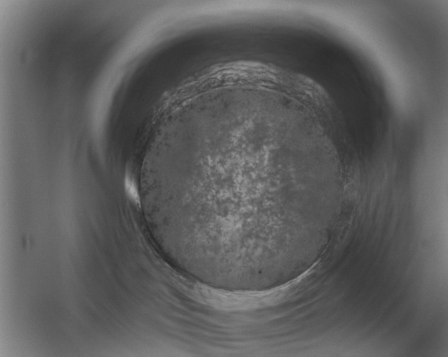 X0000059840047200511041824