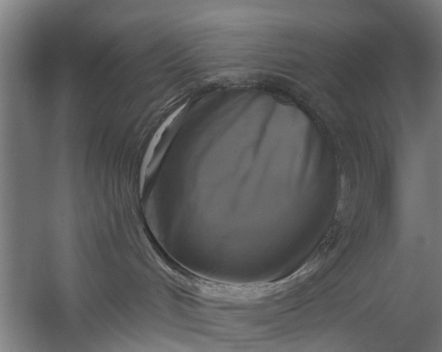 X0000059840048200511041824