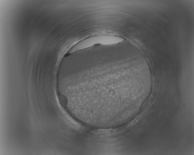 X0000059840049200511041824