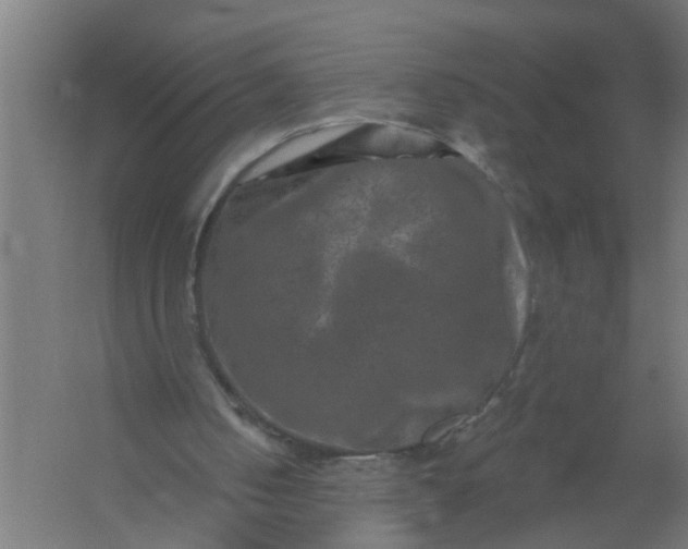 X0000059840050200511041824