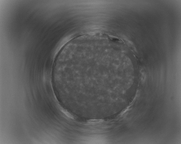 X0000059840051200511041824