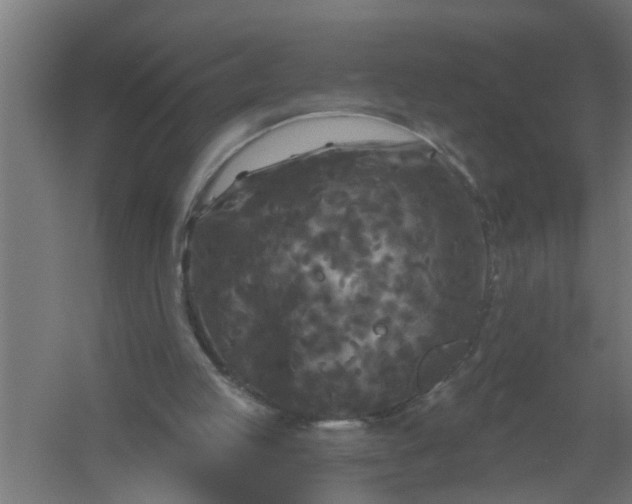 X0000059840053200511041824