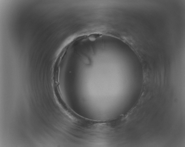 X0000059840054200511041824