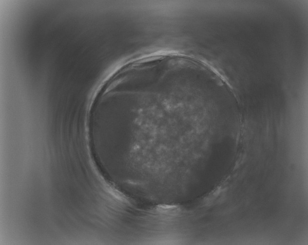 X0000059840055200511041824