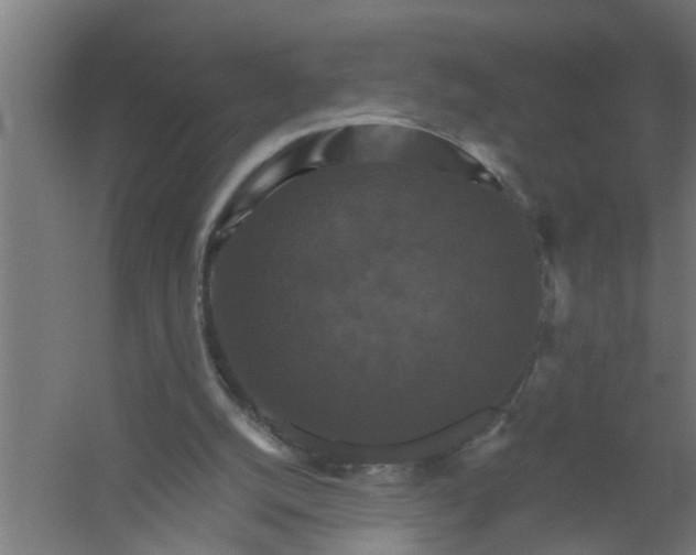 X0000059840056200511041824