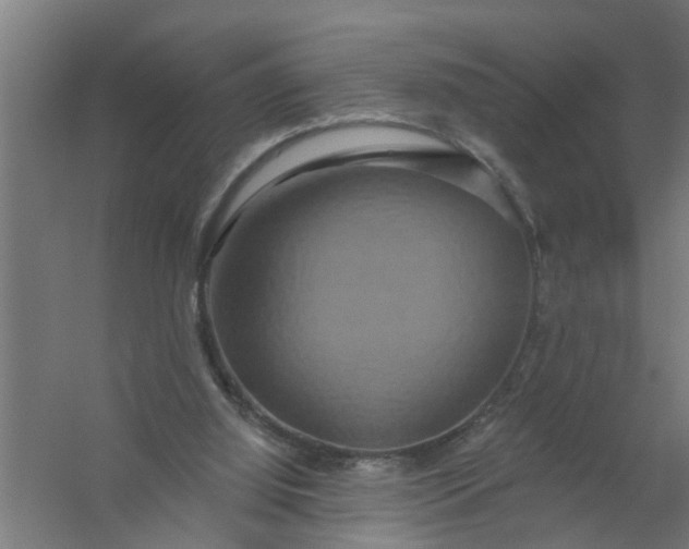 X0000059840060200511041824