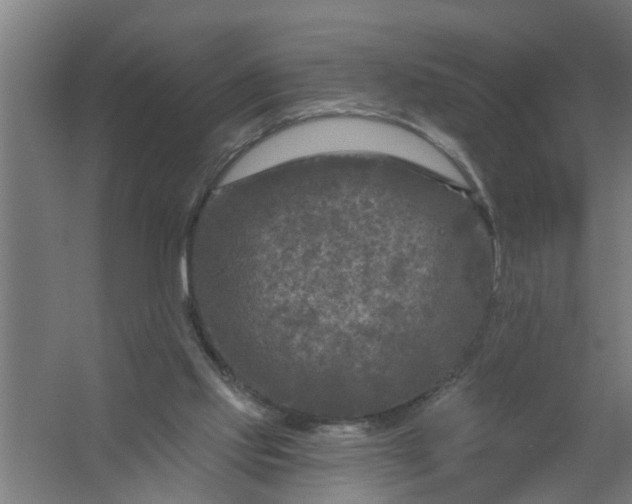 X0000059840061200511041824