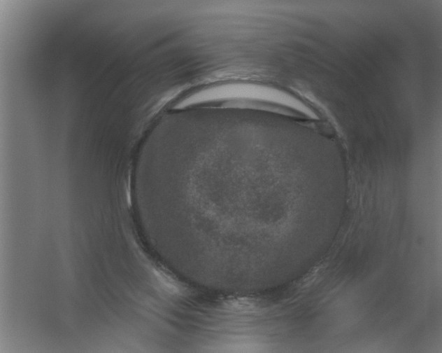 X0000059840062200511041824