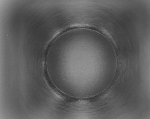 X0000059840063200511041824