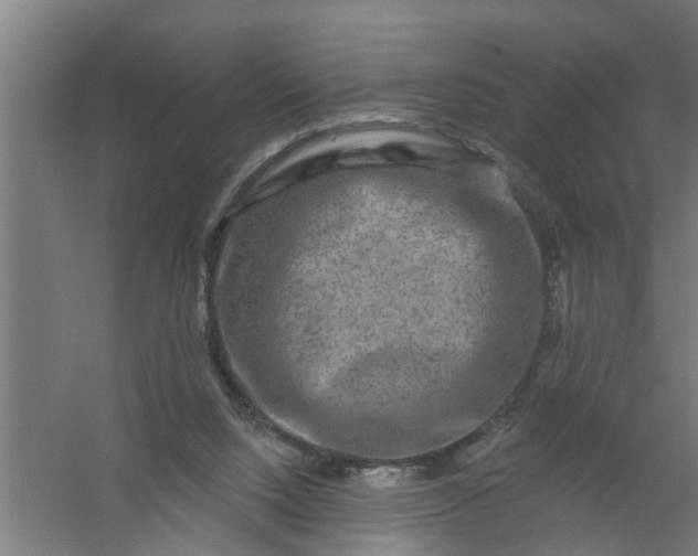 X0000059840064200511041824