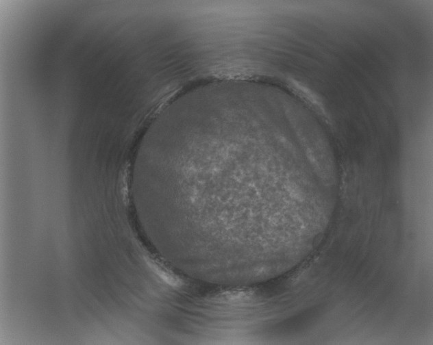 X0000059840065200511041824