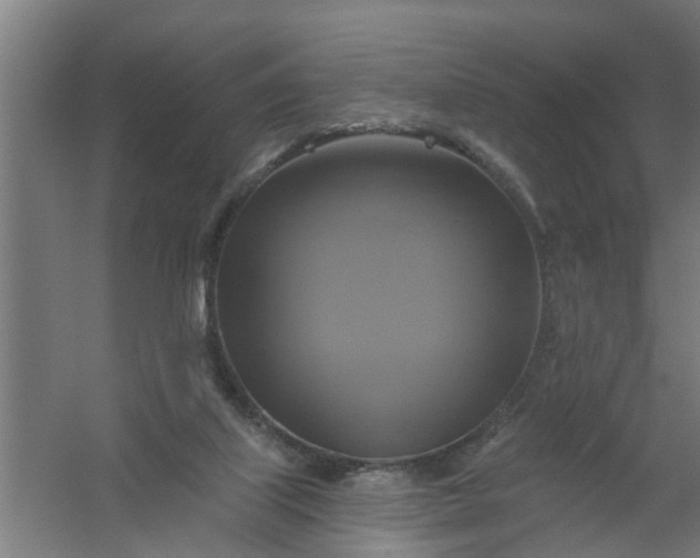 X0000059840067200511041824