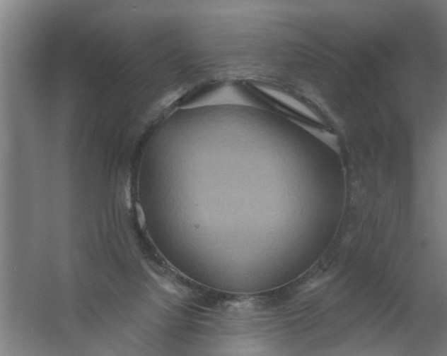 X0000059840068200511041824